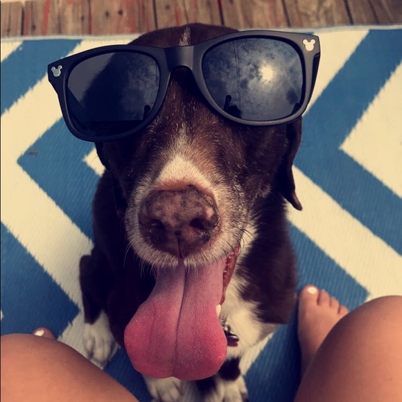 kelseyh02